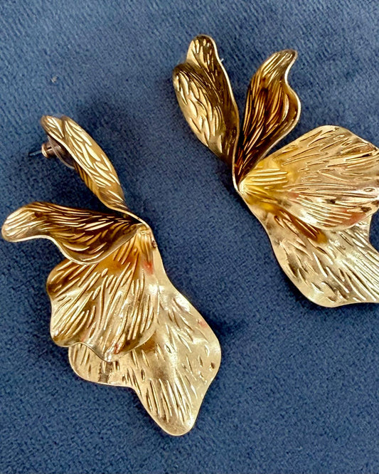 ZAMBRA PENDIENTES